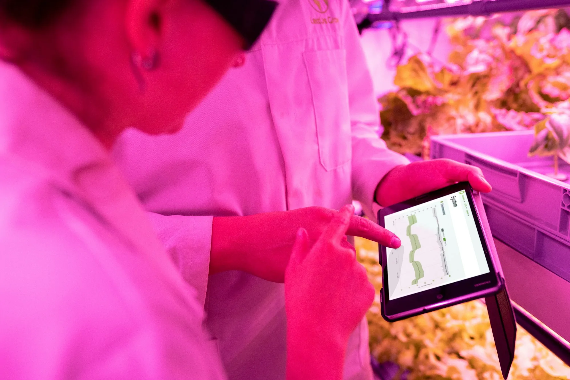 Engineers monitoring crops inside a controlled growing facility