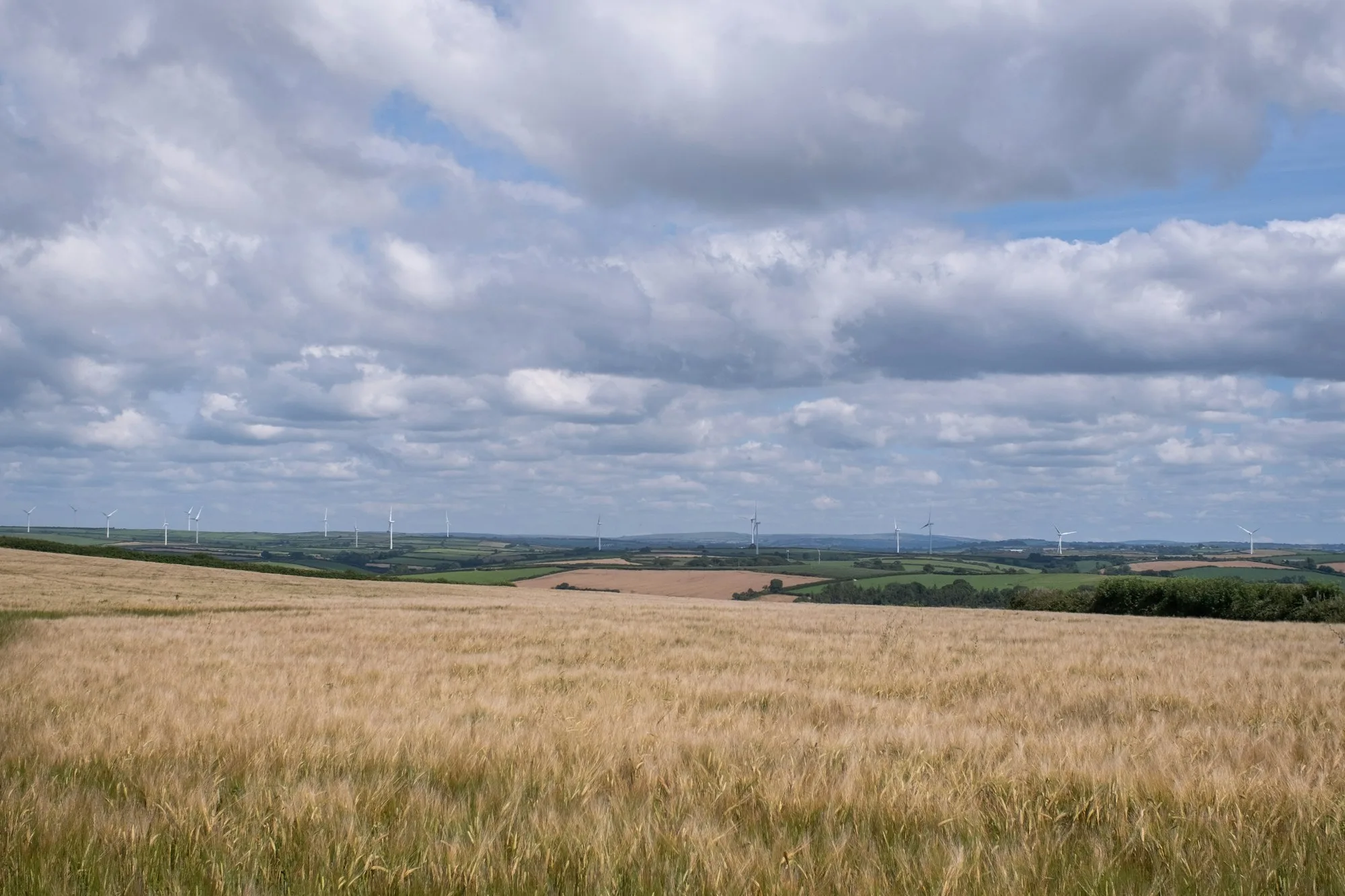 A UK arable field with wind turbines on the horizon