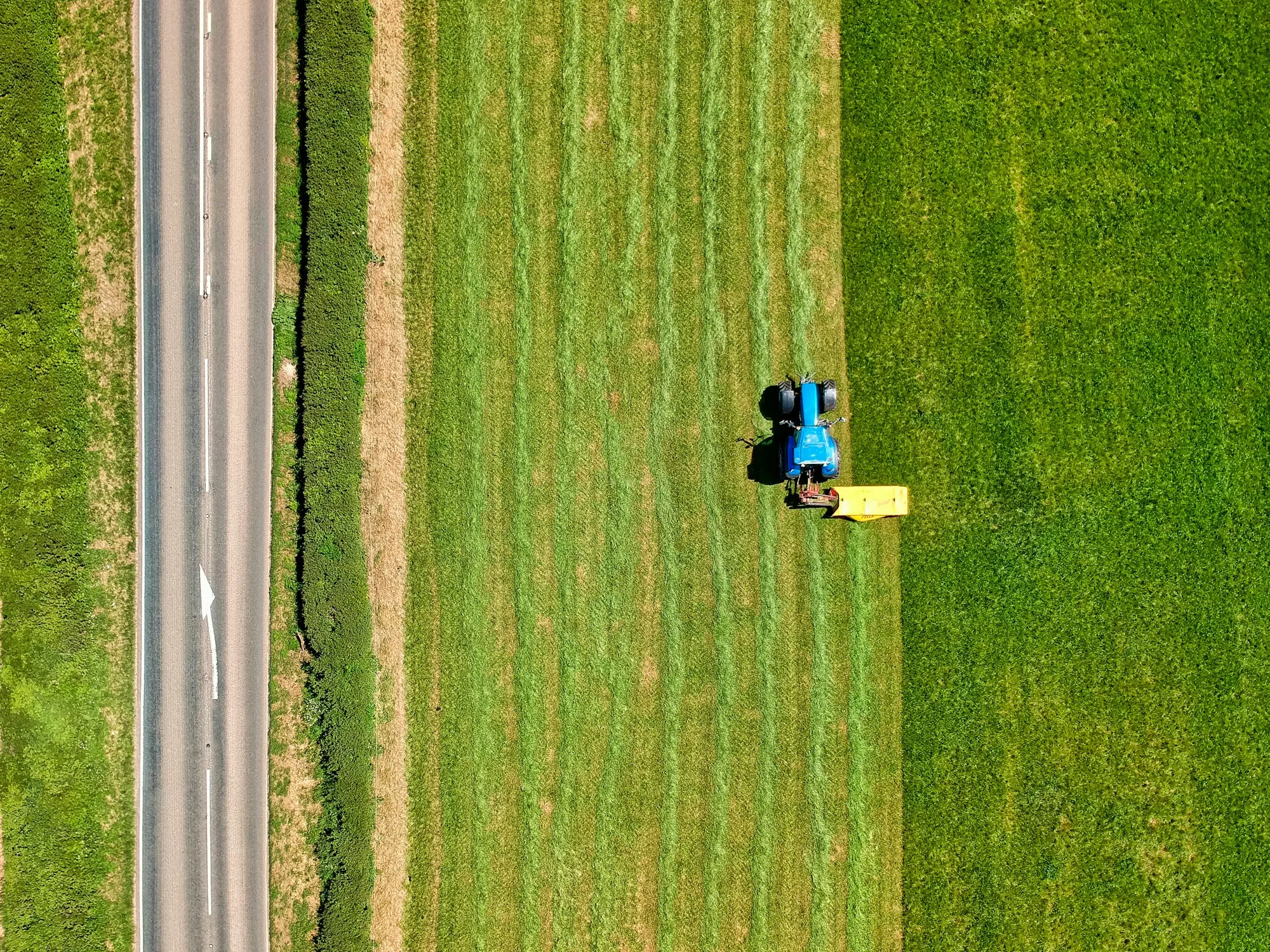 A tractor working beside a rural road in Devon